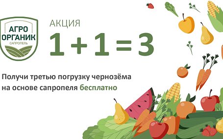 Акция! 1+1=3